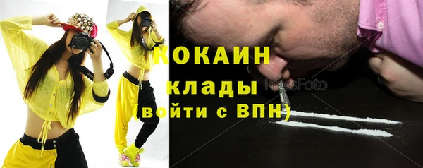 молекула духа Майский