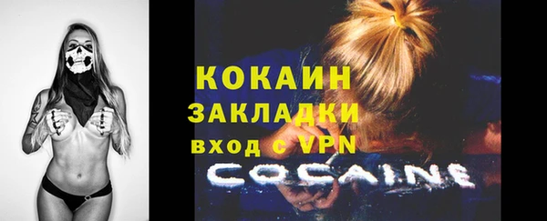 молекула духа Майский
