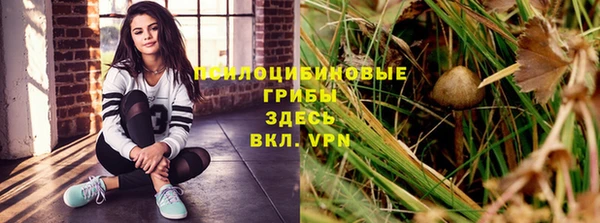 молекула духа Майский