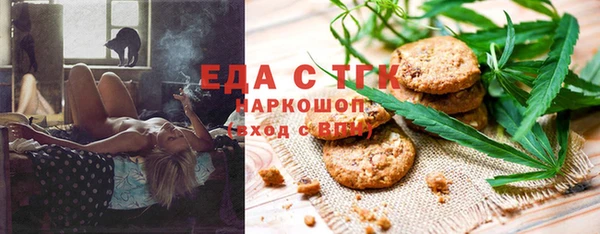 СК Медногорск