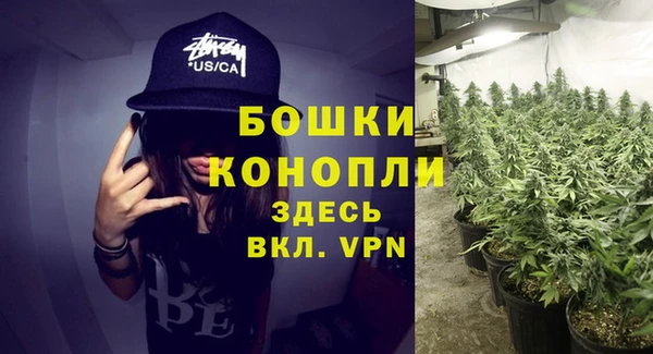 тгк Магадан