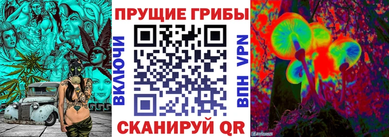 Псилоцибиновые грибы Cubensis Лихославль